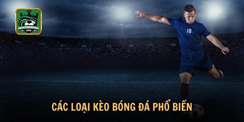 cac loai keo bong da pho bien Khám phá các loại kèo bóng đá phổ biến hiện nay