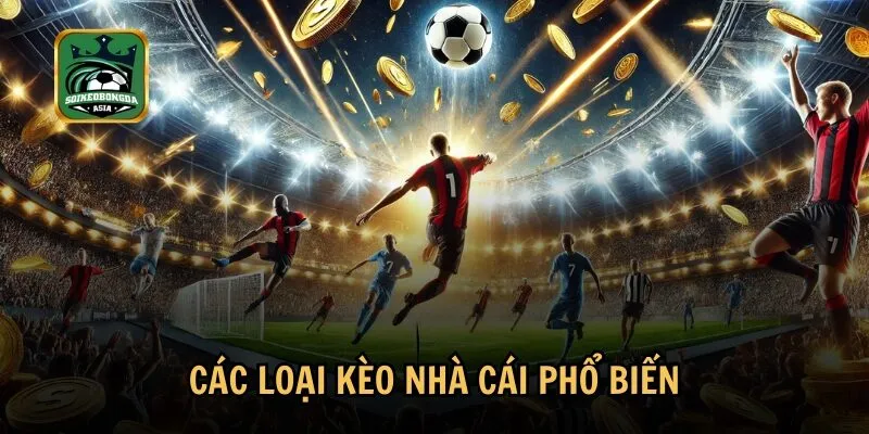 cac loai keo nha cai pho bien Đa dạng các loại kèo nhà cái thú vị và hấp dẫn