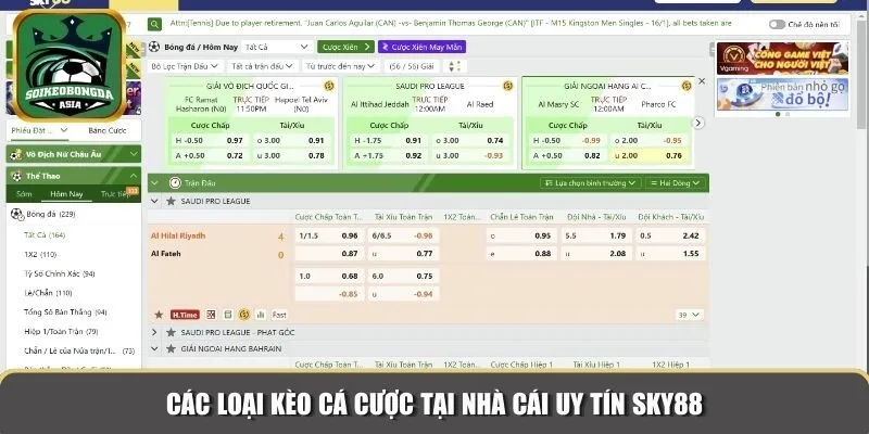 cac loai keo tai sky88 Các loại kèo cá cược tại nhà cái uy tín Sky88