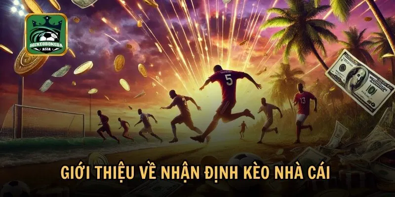 gioi thieu ve nhan dinh keo nha cai Định nghĩa và vai trò quan trọng của nhận định kèo nhà cái