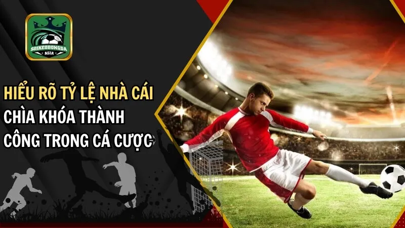 hieu ro ty le nha cai chia khoa thanh cong trong ca cuoc tỷ lệ nhà cái