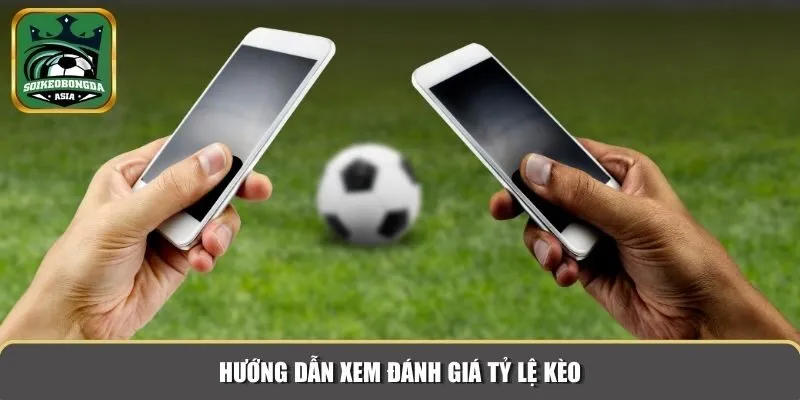 huong dan nguoi choi moi 3 Hướng dẫn xem đánh giá tỷ lệ kèo