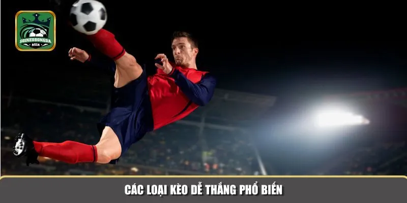 keo de thang 1 Các loại kèo dễ thắng phổ biến được đánh giá là dễ chơi