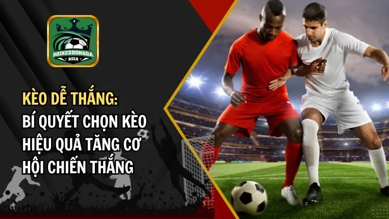 keo de thang kèo dễ thắng