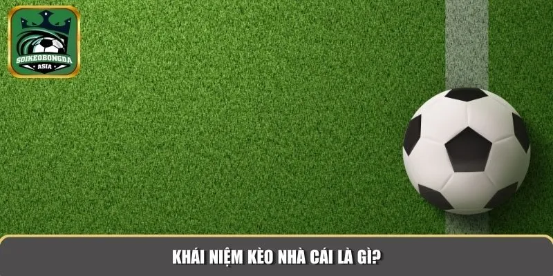 keo nha cai hom nay 1 Kèo nhà cái là thuật ngữ phổ biến trong lĩnh vực cá cược bóng đá