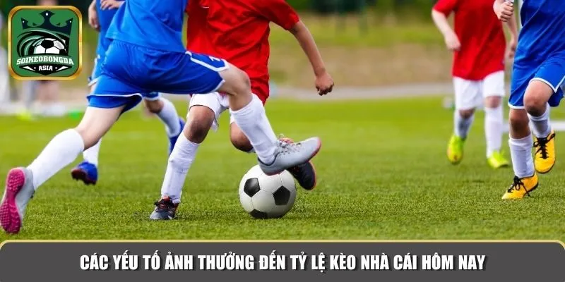keo nha cai hom nay 3 Các yếu tố ảnh hưởng đến tỷ lệ kèo nhà cái hôm nay