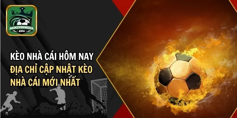 keo nha cai hom nay Kèo Nhà Cái Hôm Nay: Địa Chỉ Cập Nhật Kèo Nhà Cái Mới Nhất