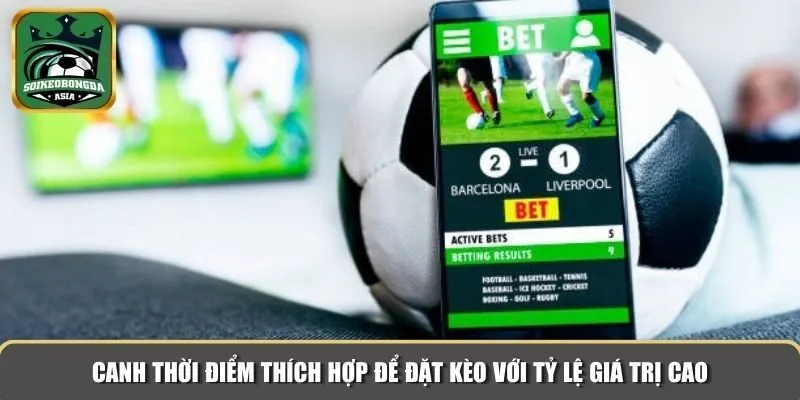 keo ty le gia tri cao Canh thời điểm thích hợp để đặt kèo với tỷ lệ giá trị cao