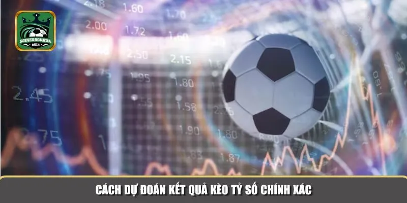 keo ty so 2 Cách dự đoán kết quả kèo tỷ số chính xác