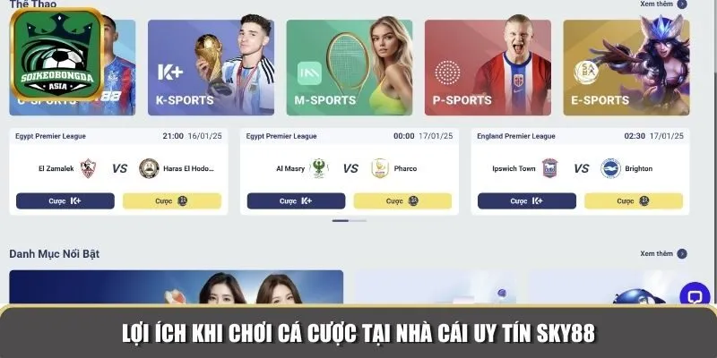 ly do tham gia nha cai uy tin sky88 Lợi ích khi chơi cá cược tại nhà cái uy tín Sky88