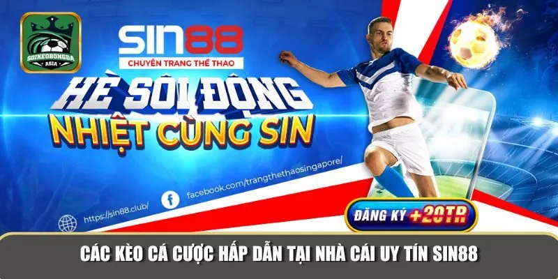 nha cai uy tin sin88 2 Nhiều trò chơi cá cược thể thao hấp dẫn