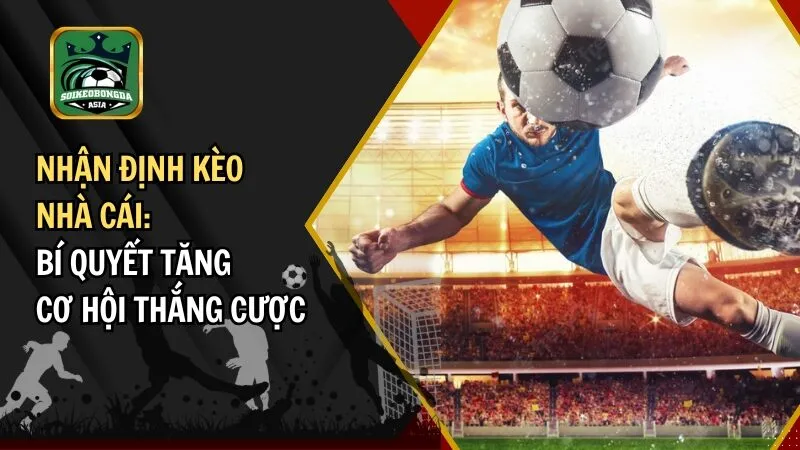 nhan dinh keo nha cai bi quyet tang co hoi thang cuoc Nhận định kèo nhà cái