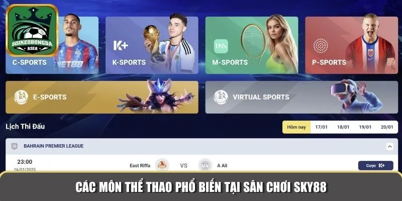 nhung san pham nha cai uy tin sky88 Các môn thể thao phổ biến tại sân chơi Sky88