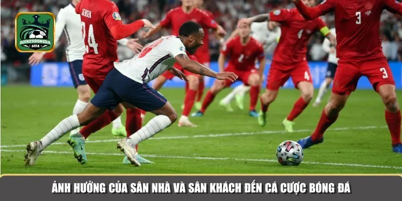 san nha san khach 3 Sân nhà và sân khách đóng vai trò quan trọng trong việc xác định tỷ lệ cược