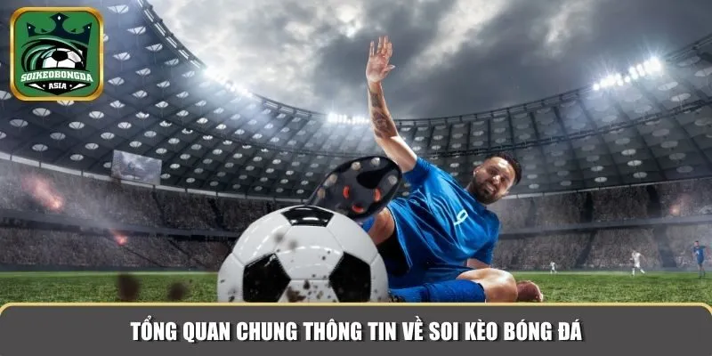 soi keo bong da 1 1 Tổng quan chung thông tin về soi kèo bóng đá
