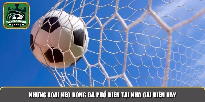 soi keo bong da 2 Những loại kèo bóng đá phổ biến tại nhà cái hiện nay