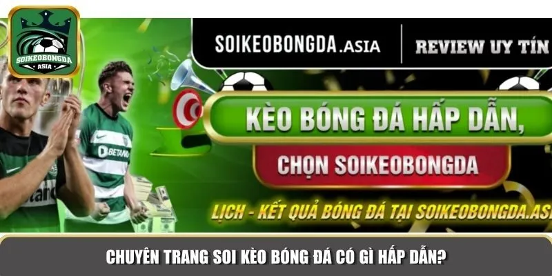 soi keo bong da 4 Chuyên trang Soi kèo bóng đá có gì hấp dẫn?