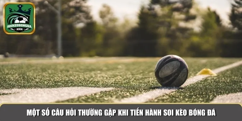 soi keo bong da 6 Một số câu hỏi thường gặp khi tiến hành soi kèo bóng đá
