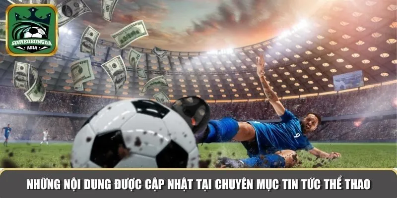 Những nội dung được cập nhật tại chuyên mục tin tức thể thao