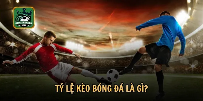 ty le keo bong da la gi Định nghĩa tổng quan và vai trò của kèo bóng đá