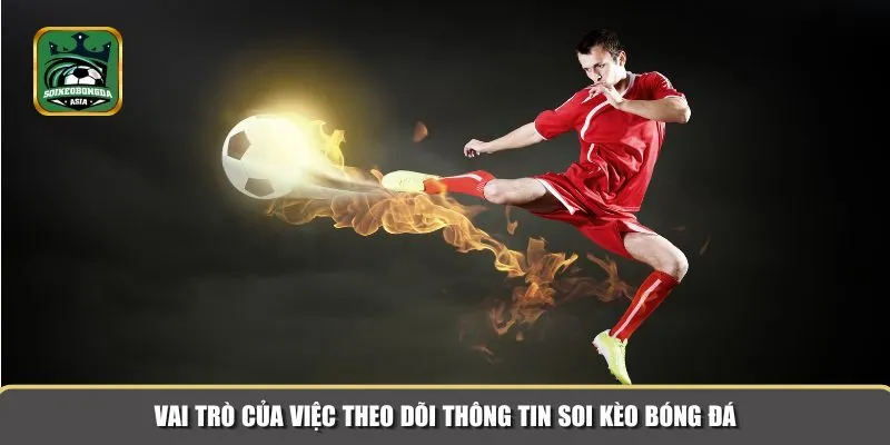Soi kèo bóng đá đóng vai trò quan trọng giúp người chơi cược chính xác hơn