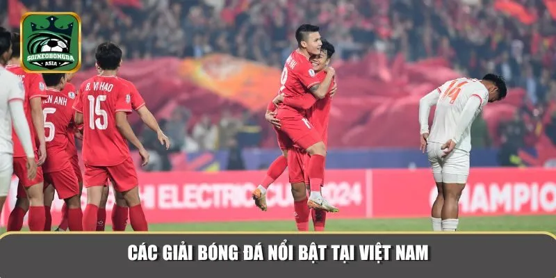 bong da viet nam 1 Đa dạng các giải đấu bóng đá Việt Nam