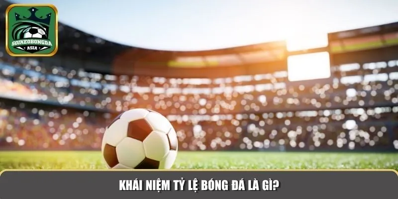 ty le bong da 1 Khái niệm cơ bản về tỷ lệ bóng đá