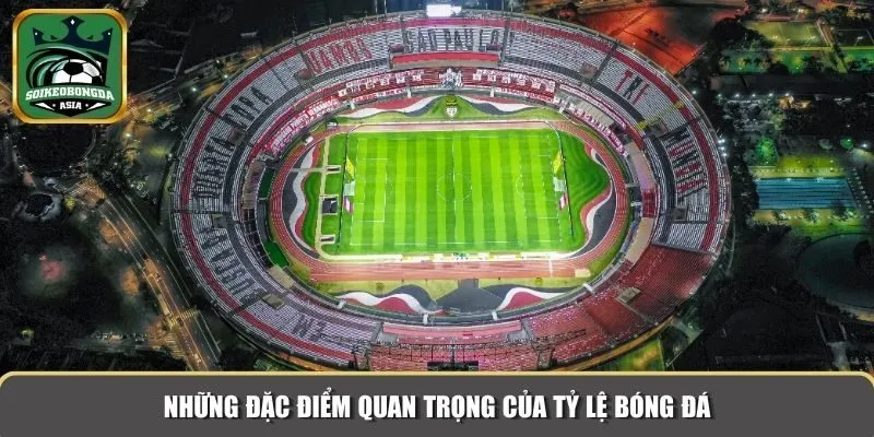 ty le bong da 2 Những đặc điểm quan trọng của tỷ lệ bóng đá