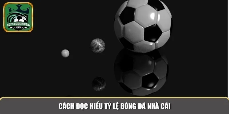 ty le bong da 3 Cách đọc hiểu tỷ lệ bóng đá nhà cái