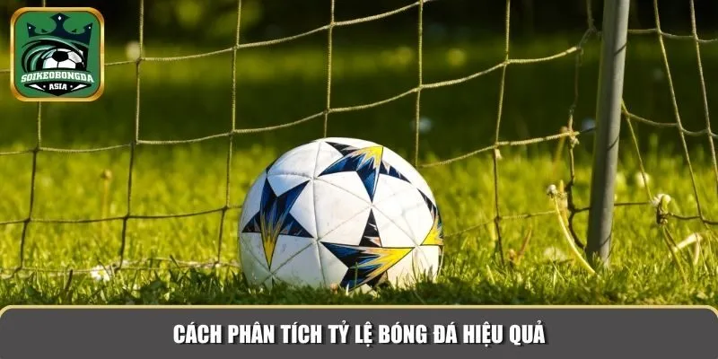 ty le bong da 4 Cách phân tích tỷ lệ bóng đá hiệu quả
