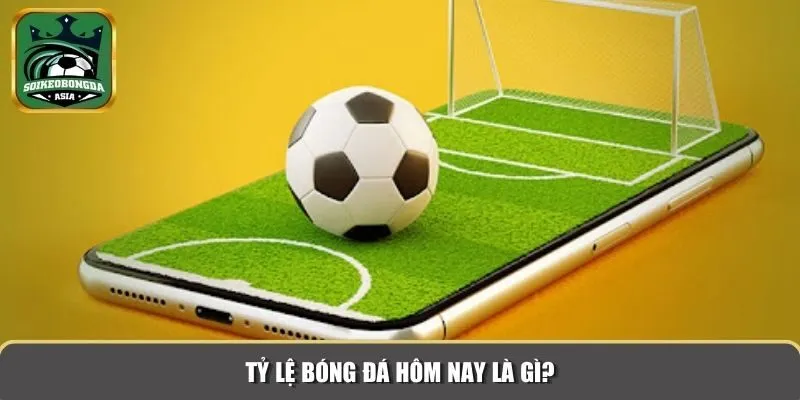 ty le bong da hom nay 1 Tỷ lệ bóng đá hôm nay là gì?