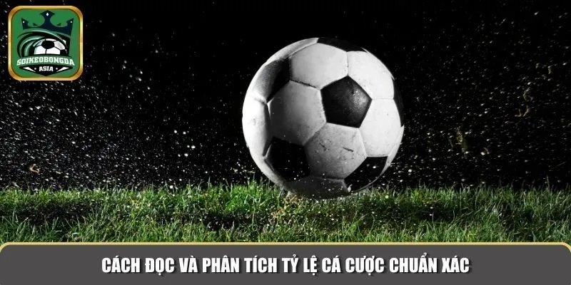 ty le ca cuoc 2 Cách đọc và phân tích tỷ lệ cá cược chuẩn xác