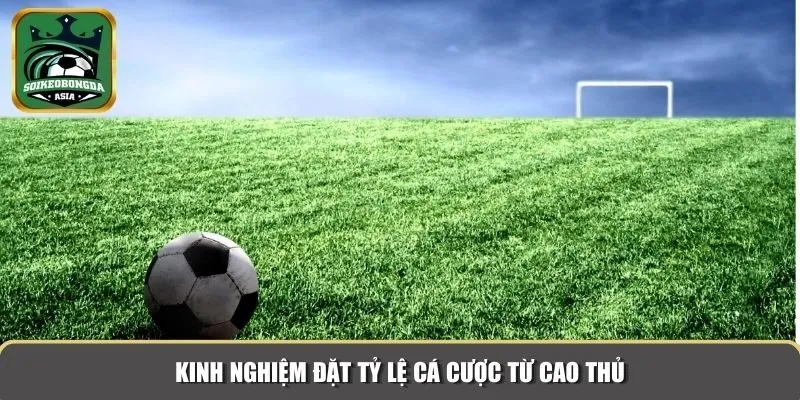 ty le ca cuoc 3 Kinh nghiệm đặt tỷ lệ cá cược từ cao thủ