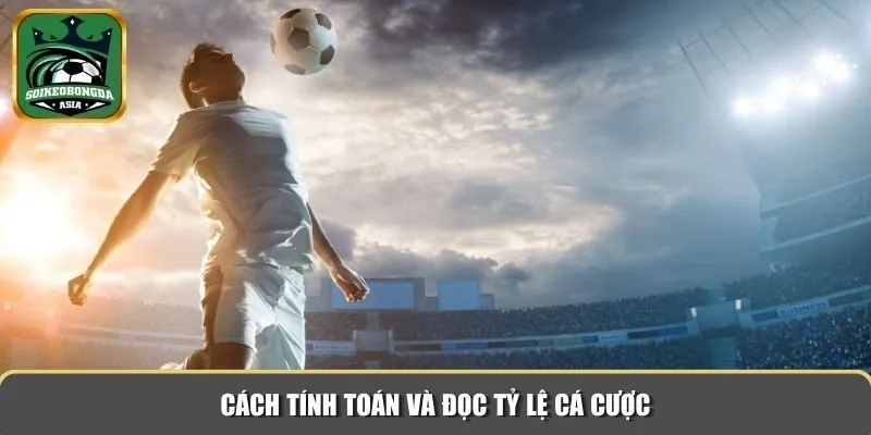 ty le ca cuoc bong da 2 Cách tân binh tính toán và đọc tỷ lệ cá cược