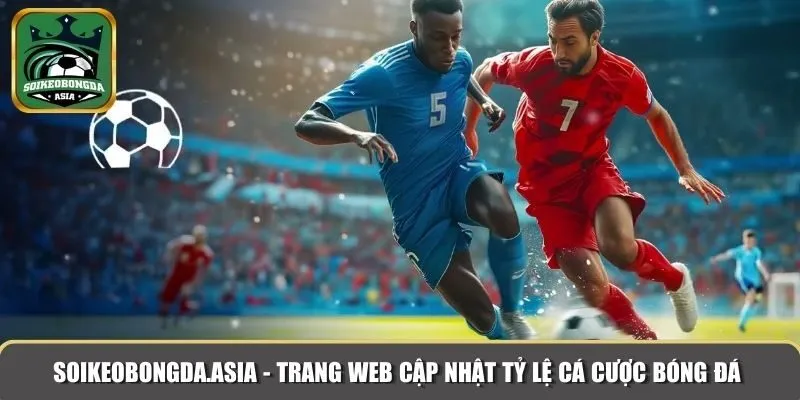 ty le ca cuoc bong da 3 Soikeobongda.asia  - trang web cập nhật tỷ lệ cá cược bóng đá nhanh chóng