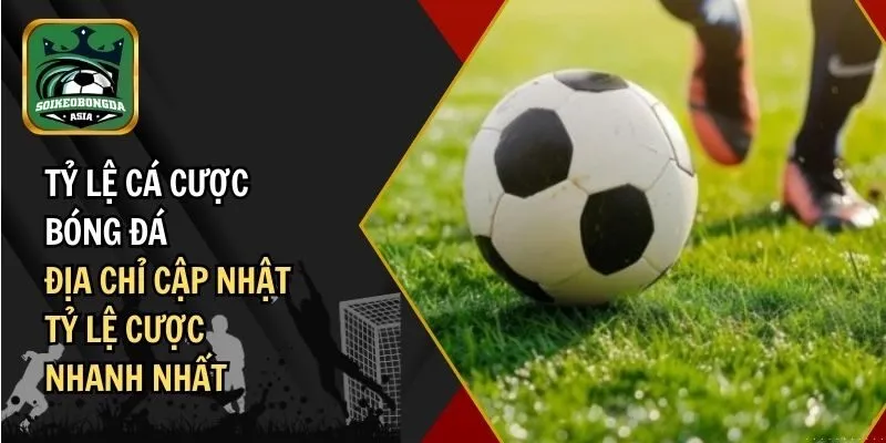 ty le ca cuoc bong da Tỷ Lệ Cá Cược Bóng Đá – Địa Chỉ Cập Nhật Tỷ Lệ Cược Nhanh Nhất