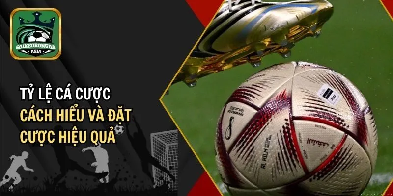 ty le ca cuoc Tỷ Lệ Cá Cược – Cách Hiểu Và Đặt Cược Hiệu Quả