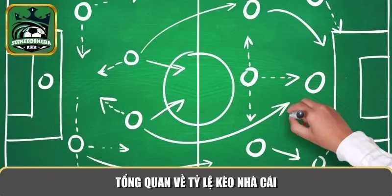 ty le keo nha cai 1 Tổng quan về tỷ lệ kèo nhà cái