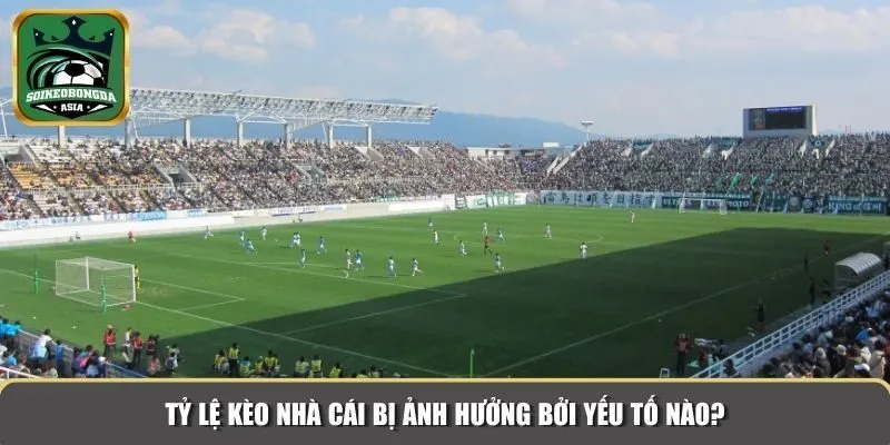 ty le keo nha cai 2 Tỷ lệ kèo nhà cái bị ảnh hưởng bởi yếu tố nào?