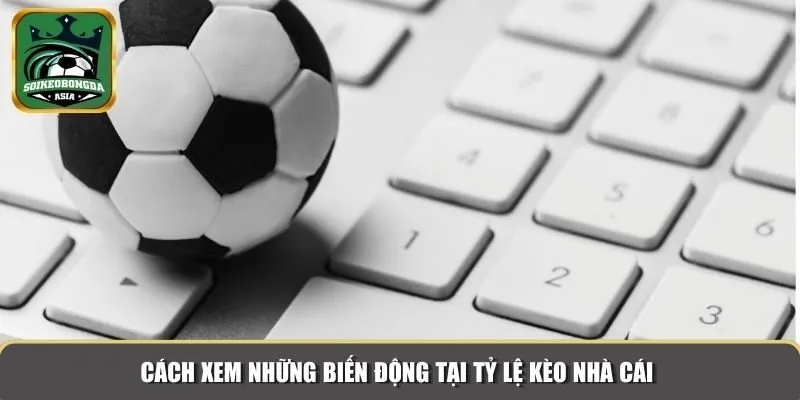 ty le keo nha cai 3 Cách xem những biến động tại tỷ lệ kèo nhà cái