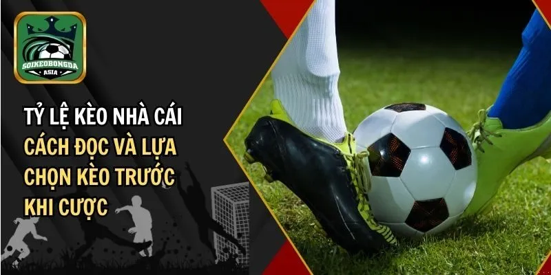 ty le keo nha cai Tỷ Lệ Kèo Nhà Cái – Cách Đọc Và Lựa Chọn Kèo Trước Khi Cược